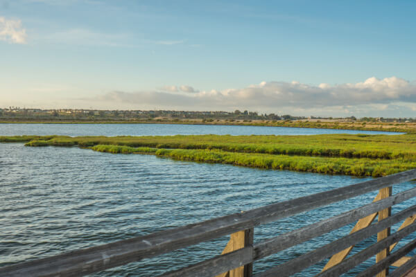 bolsa_chica_ecological_reserve